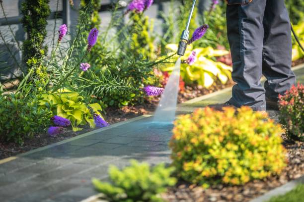 Best Dumpster Area Cleaning  in Centerville, OH